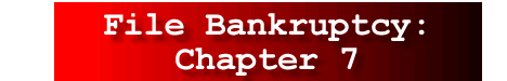Santa Clarita Bankruptcy File Chapter 7